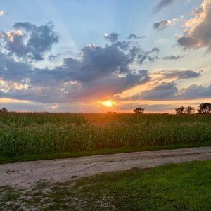 Meet your Posher, Lori